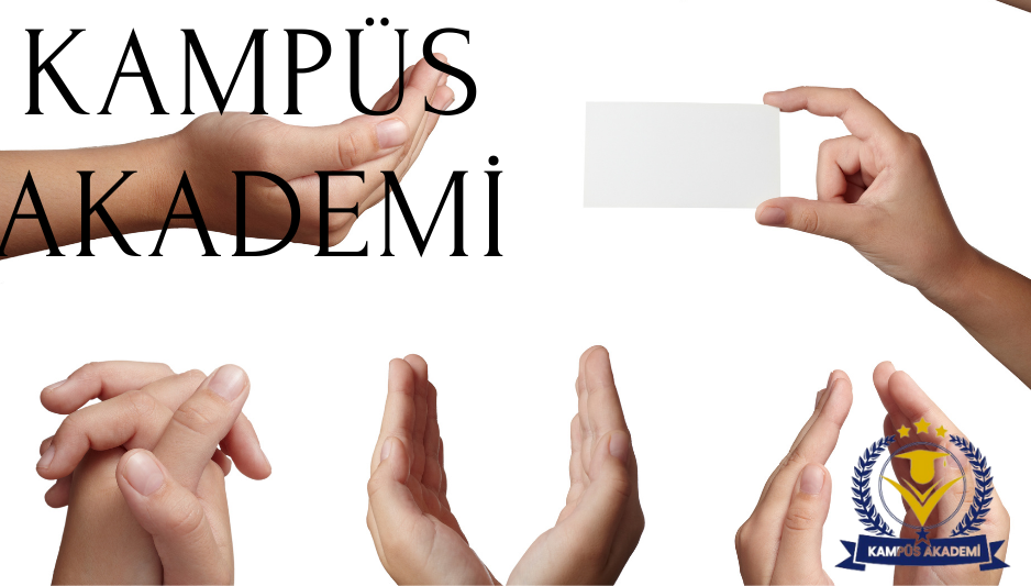 e-Devlet ve üniversite onaylı beden dili eğitimi sertifikası e-Devlet ve üniversite onaylı beden dili eğitimi sertifikası
